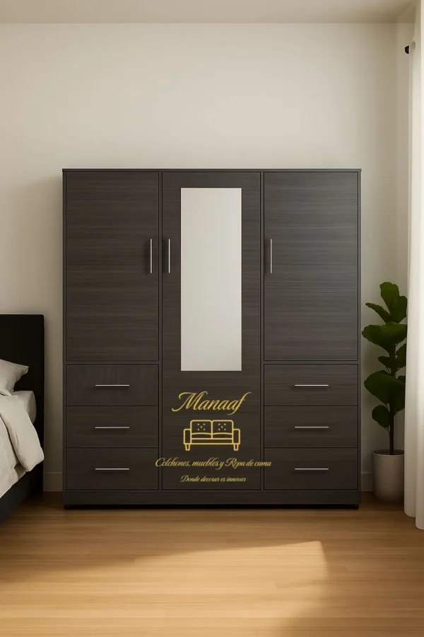 Armario Closet Habitacion
